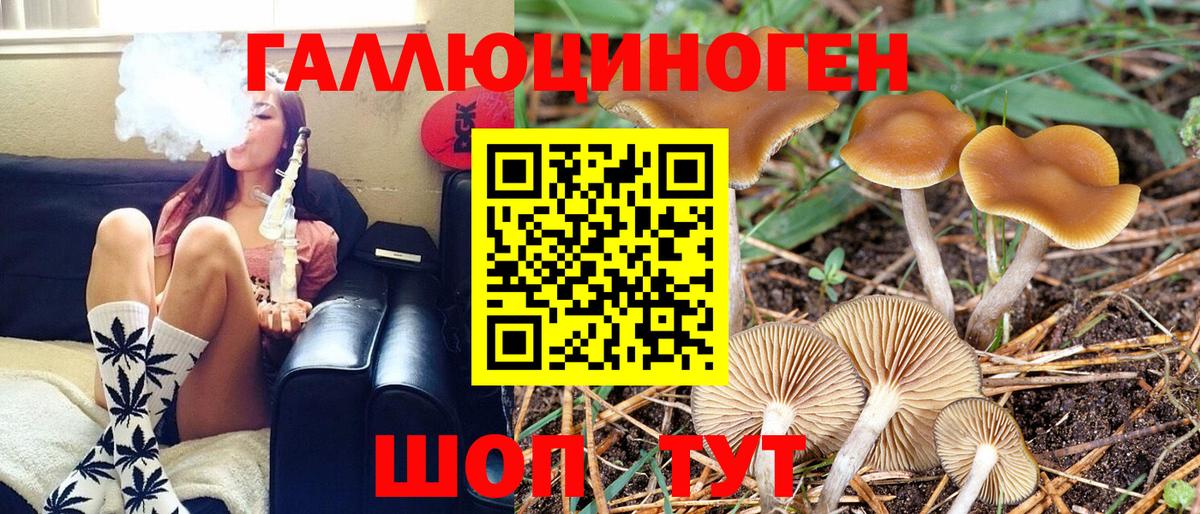Псилоцибиновые грибы Magic Shrooms  Псилоцибиновые грибы Magic Shrooms  Вход с VPN  Белово 